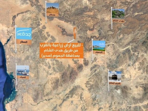 For sale raw agricultural land 560 thousand meters Huda Alsham
