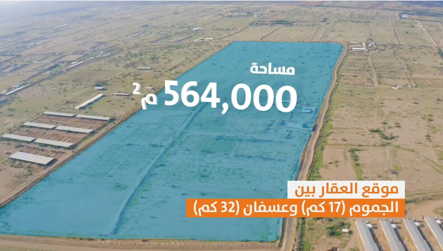 For sale raw agricultural land 560 thousand meters Huda Alsham