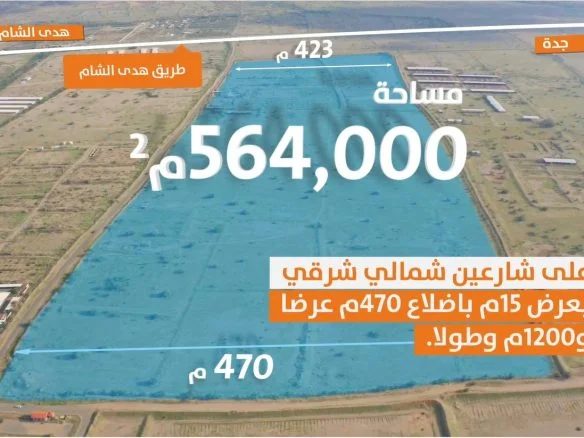 For sale raw agricultural land 560 thousand meters Huda Alsham