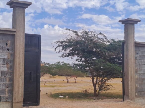 Agricultural land 10,000 sqm Huda Alsham 1